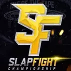 SlapFight avatar