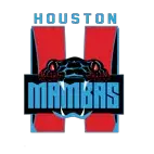 HoustonMambas avatar